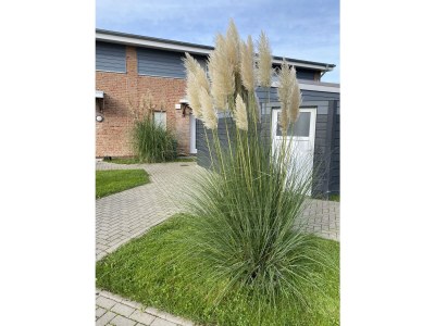 Holiday house Haus Storchennest 1 - Outdoor photo 6