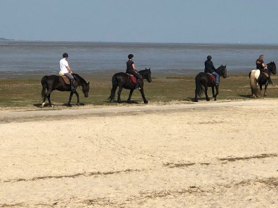 Holiday house Haus Storchennest 1 - Environment photo 24