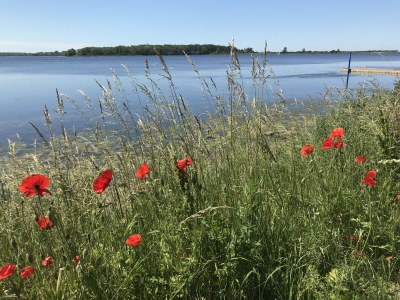 Holiday apartment Rummel - Environment photo 33