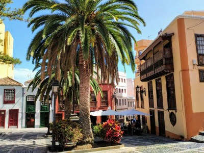 Holiday house Casa Columbus La Palma - Environment photo 22