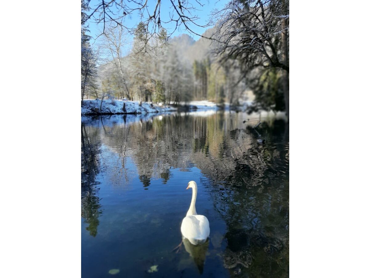 Apartment Appartement"Unterberg" Du/WC, 1 Schlafraum