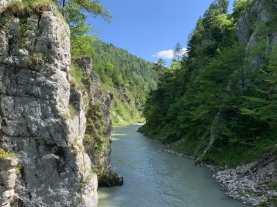 Apartment Appartement"Unterberg" Du/WC, 1 Schlafraum - Outdoor photo 14