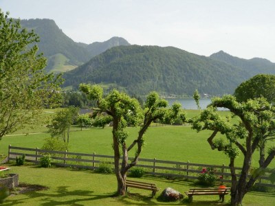 Apartment Ap. "Abendsonne" - Features photo 17