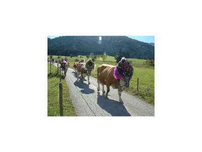 Apartment "Panoramasuite" - Outdoor photo 8