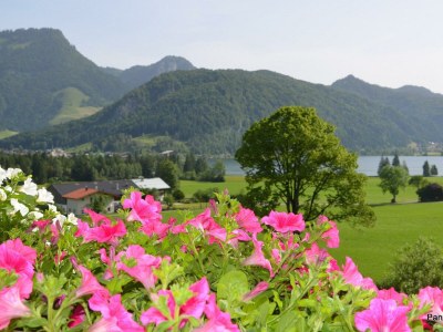 Apartment "Panoramasuite" - Outdoor photo 11