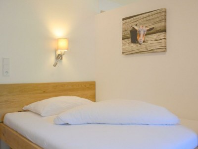 Apartment Suite "Kaiserblick" - Features photo 15