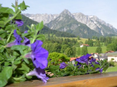 Apartment Suite "Kaiserblick" - Features photo 17