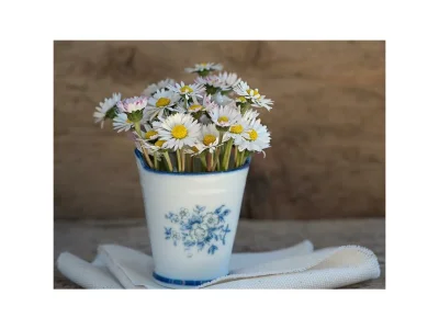 Apartment Apartment"1" /1 Schlafraum/Du/WC,Balkon - Features photo 12