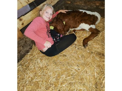 Apartment App. Typ A "Kaiserblick" - Outdoor photo 17