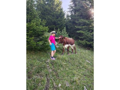 Apartment App. Typ B "Alpenpanorama" - Outdoor photo 8