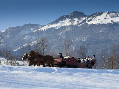 Apartment App. Typ B "Alpenpanorama" - Outdoor photo 40