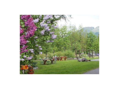 Apartment Typ"III"/3 Schlafräume/Bad, WC,Tv,Balkon - Outdoor photo 5