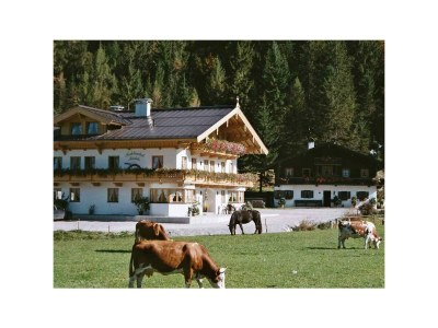 Apartment Ap."Feldberg" -1 Schlafzi/Du/WC,TV,Tel - Outdoor photo 12