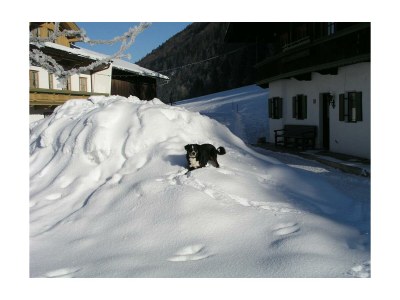 Apartment Ap."Kaiser" -2 Schlafzi/2xDu/WC,TV,Tel, - Outdoor photo 11