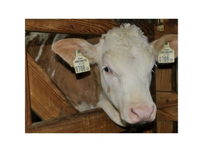 Apartment Ap."Kaiser" -2 Schlafzi/2xDu/WC,TV,Tel, - Outdoor photo 13