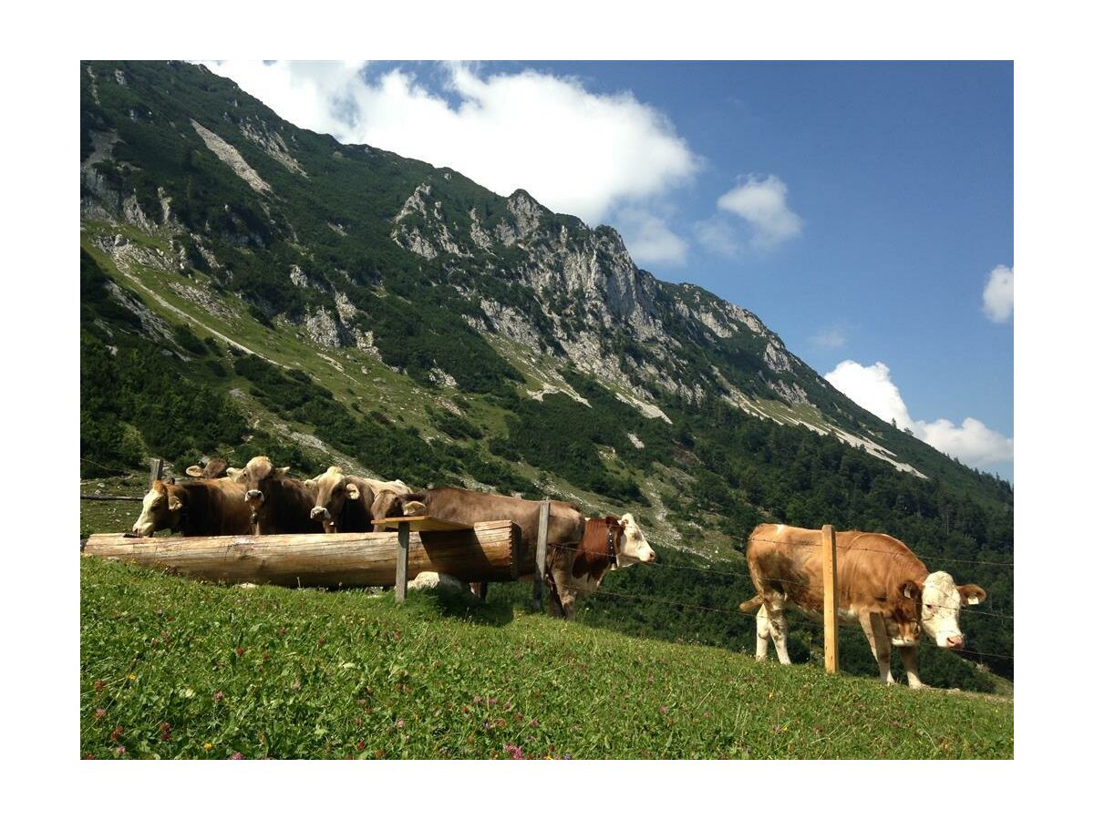 Apartment Erkerzimmer mit Kachelofen - Outdoor photo 2