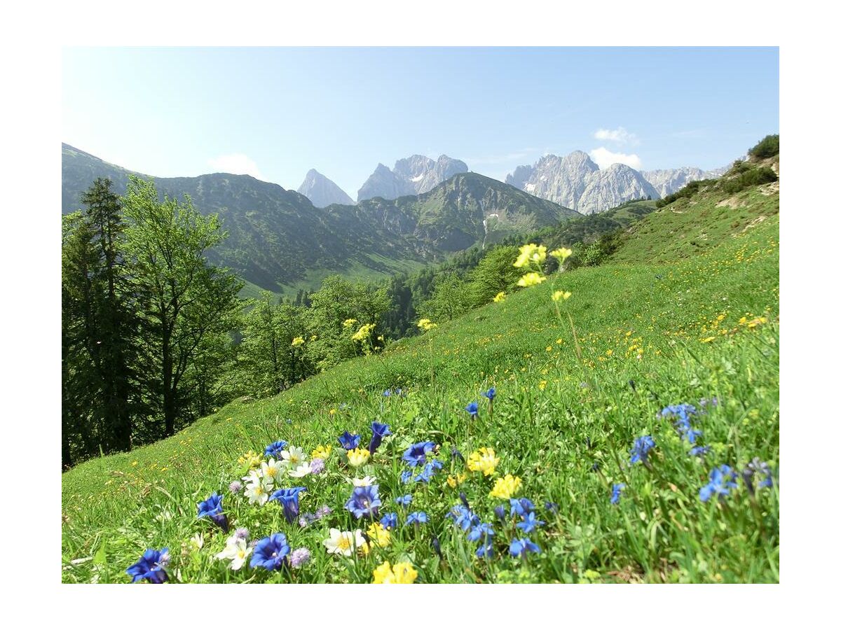 Apartment Erkerzimmer mit Kachelofen - Outdoor photo 3