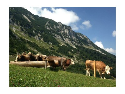 Apartment Erkerzimmer mit Kachelofen - Outdoor photo 2