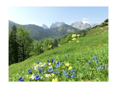 Apartment Erkerzimmer mit Kachelofen - Outdoor photo 3