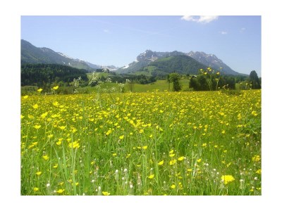 Apartment Erkerzimmer mit Kachelofen - Outdoor photo 4