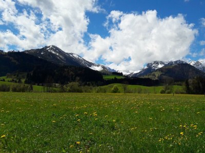 Apartment Erkerzimmer mit Kachelofen - Outdoor photo 11