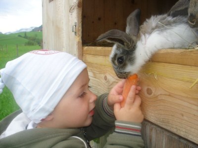 Apartment Erkerzimmer mit Kachelofen - Outdoor photo 12