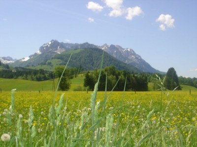 Apartment Erkerzimmer mit Kachelofen - Outdoor photo 13