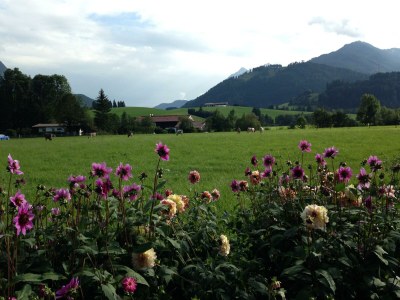 Apartment Erkerzimmer mit Kachelofen - Outdoor photo 19