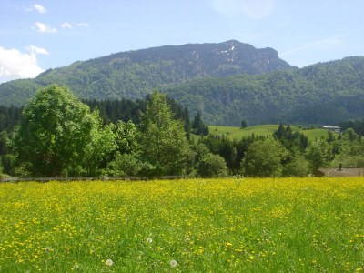 Apartment Erkerzimmer mit Kachelofen - Outdoor photo 20