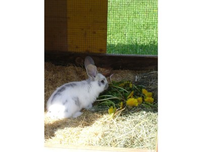 Apartment Erkerzimmer mit Kachelofen - Outdoor photo 27