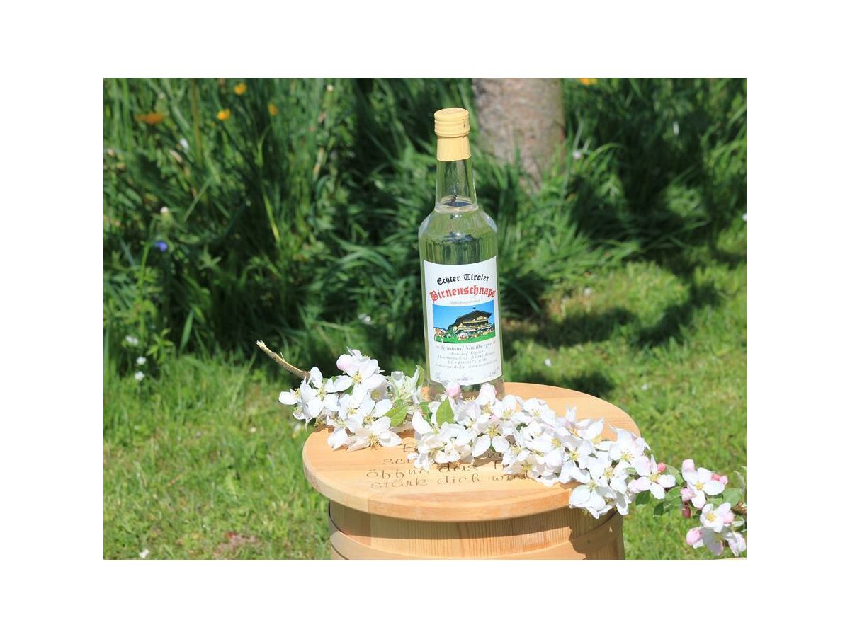 Apartment Ap."4" /1 Schlafraum/Bad/WC,Südbalkon,TV