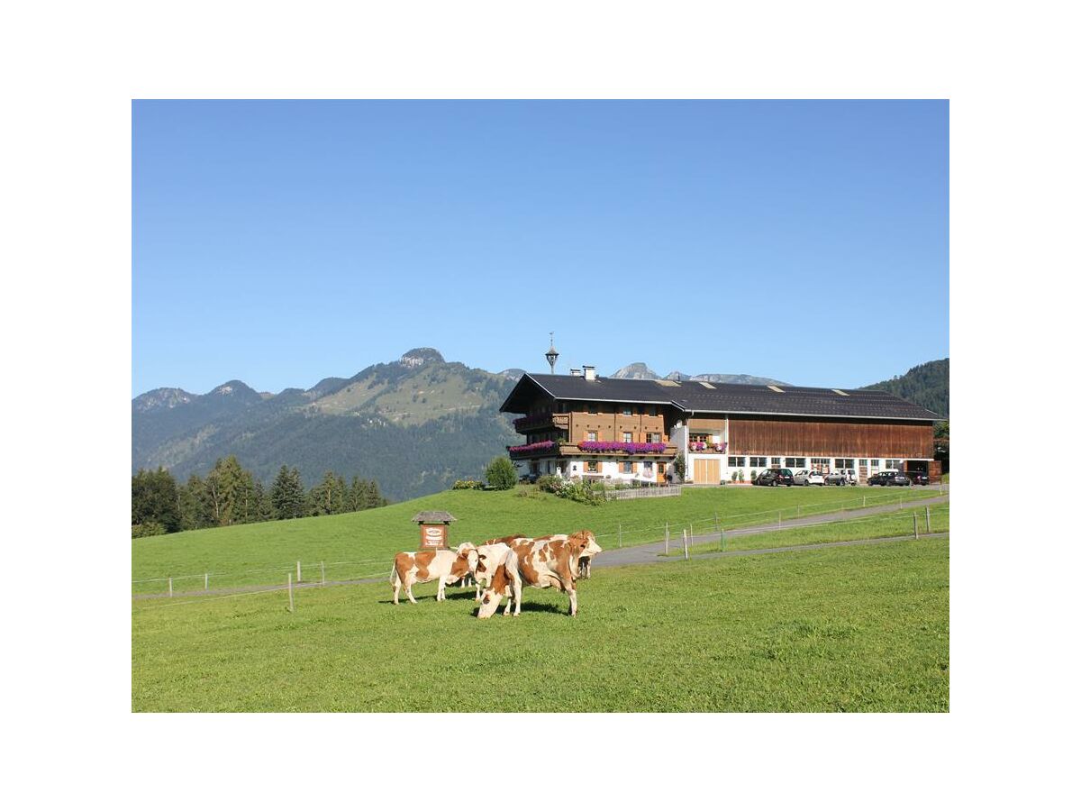 Apartment Ap."4" /1 Schlafraum/Bad/WC,Südbalkon,TV - Outdoor photo 3