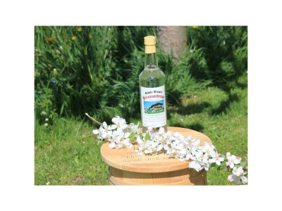 Apartment Ap."4" /1 Schlafraum/Bad/WC,Südbalkon,TV in Kössen - Apartment