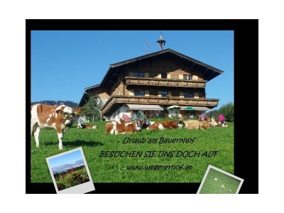 Apartment Ap."4" /1 Schlafraum/Bad/WC,Südbalkon,TV - Outdoor photo 10