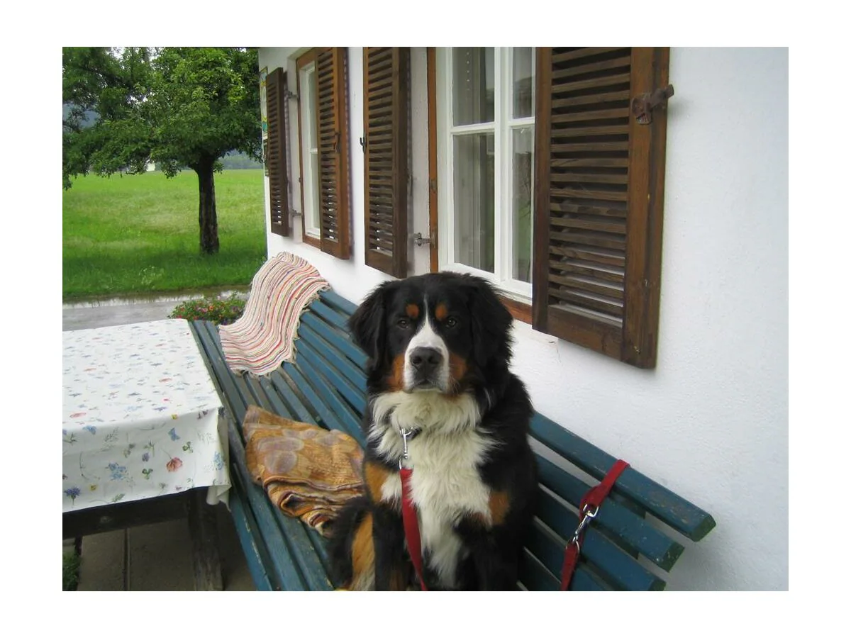 Apartment Wohnung Unterberg+DZ - Outdoor photo 3