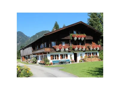 Apartment Wohnung Unterberg+DZ in Kössen - Apartment