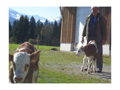 Apartment Wohnung Unterberg+DZ - Outdoor photo 2