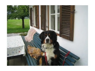 Apartment Wohnung Unterberg+DZ - Outdoor photo 3