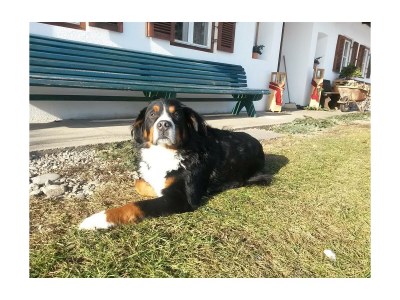 Apartment Wohnung Unterberg+DZ - Outdoor photo 9