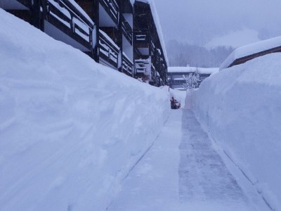 Apartment Ferienwohnung Bergliebe - Outdoor photo 4