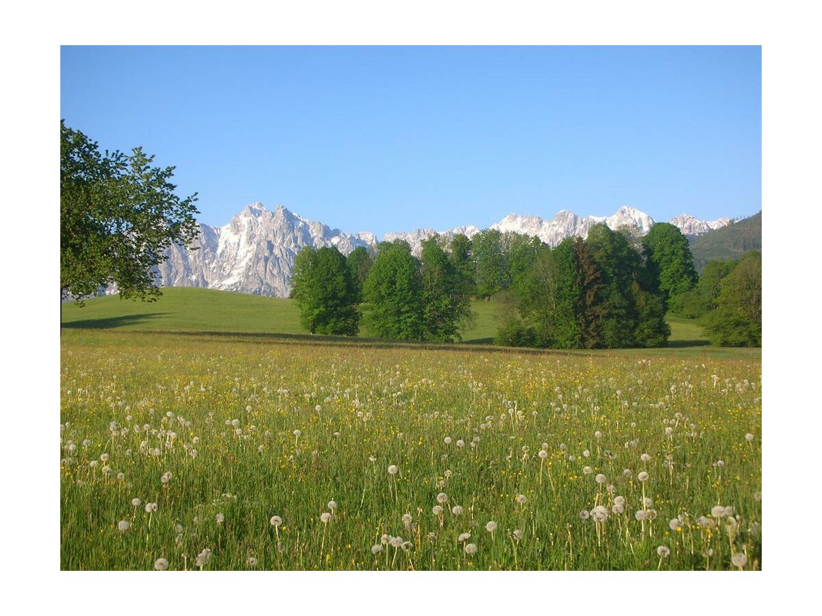 Apartment Wilder Kaiser/2 Schlafräume/Balkon - Outdoor photo 4
