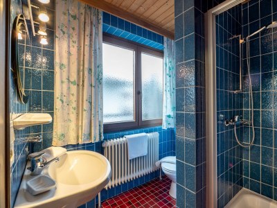 Apartment Ap."Unterberg"/1 Schlafraum/2xDU/WC - Features photo 14