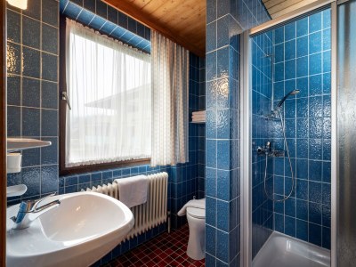 Apartment Ap."Zahmer Kaiser"/1 Schlafr./2xDU/WC,Ba - Features photo 14