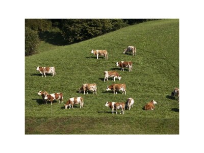 Apartment Apartment/2 Schlafräume/Dusche/WC,TV,Blk - Outdoor photo 12