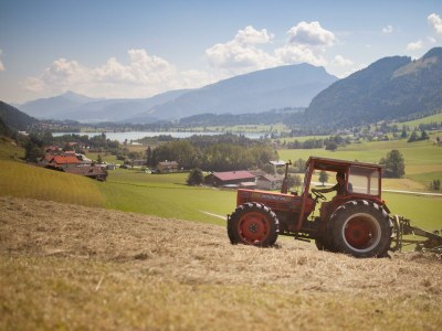 Apartment Apartm."C"-Wohn-Schlafraum/Dusche,WC,TV - Outdoor photo 11