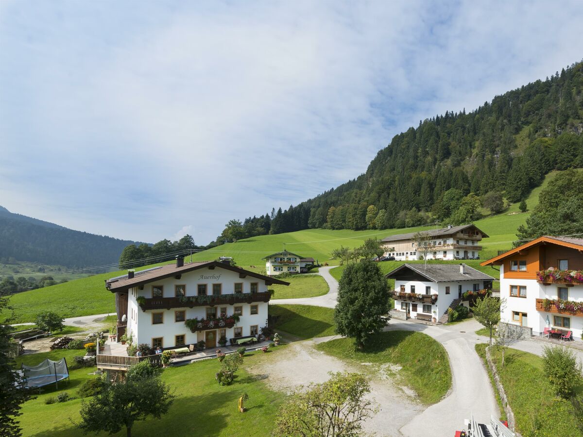 Apartment Apartm."E"/Wohn-Schlafraum/Dusche, WC - Outdoor photo 4