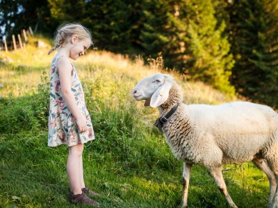 Apartment Apartm."E"/Wohn-Schlafraum/Dusche, WC - Outdoor photo 7