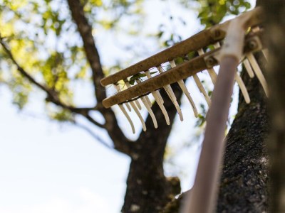 Apartment Apartm."E"/Wohn-Schlafraum/Dusche, WC - Outdoor photo 12