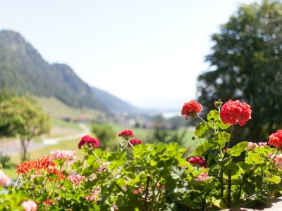 Apartment Apartm."B"-1 Schlafraum/Dusche,WC,TV,Ter - Outdoor photo 9