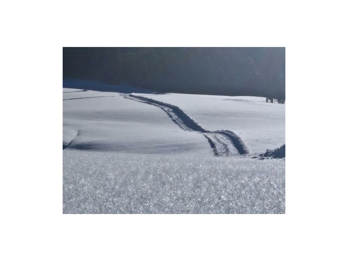 Apartment Ferienwohnung Walchsee